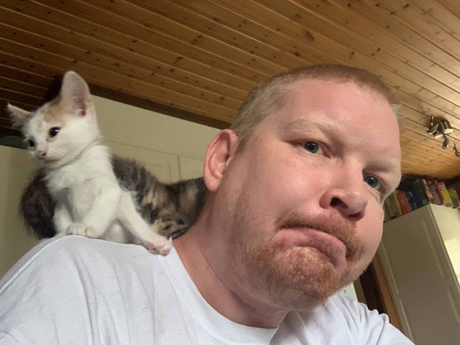 🐱 Kittens — camphoto_959030623.JPG